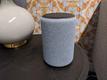 Shopping via smart speakers is not taking off, report suggests