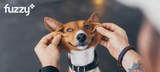 Make no bones about it, Fuzzy expands reach into pet care market with capital infusion