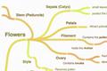 15 Mind-mapping Tools for Entrepreneurs and Teams