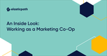 An Inside Look Working as a Marketing Co-Op