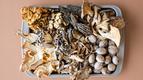 Craving ‘wild’ foods? Foraged’s marketplace uncovers all that and more